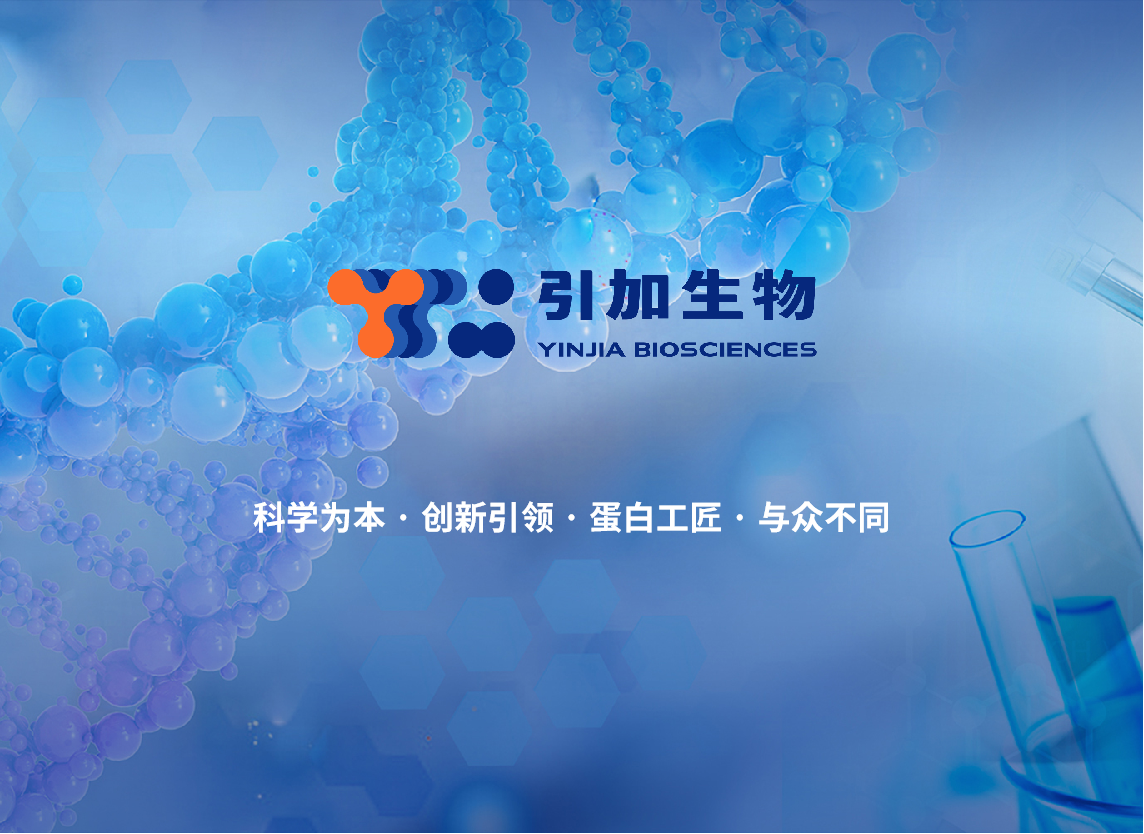 重組胰蛋白酶消化液