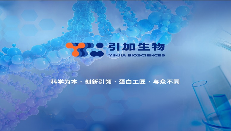 O-糖苷酶 & 唾液酸酶（α2-3,6,8,9)套裝