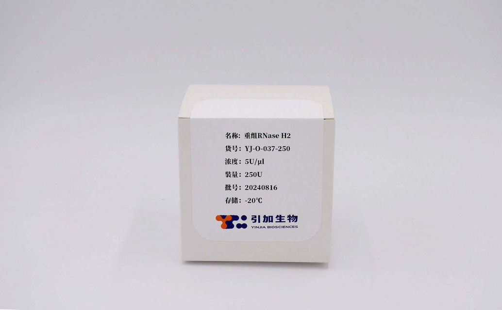 重組RNase H2