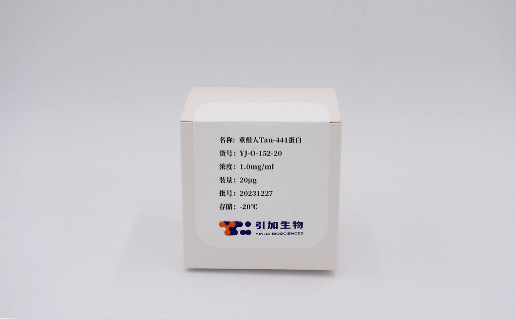 重組人Tau-441蛋白