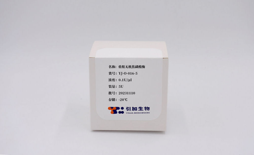 重組無機焦磷酸酶