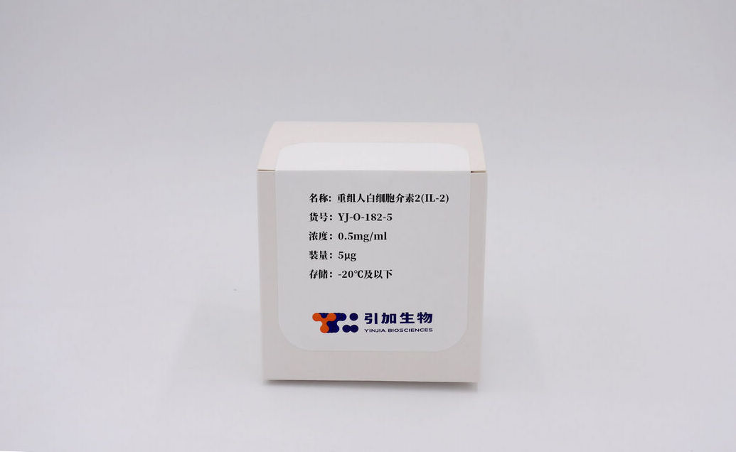 重組人白細胞介素2（IL-2）