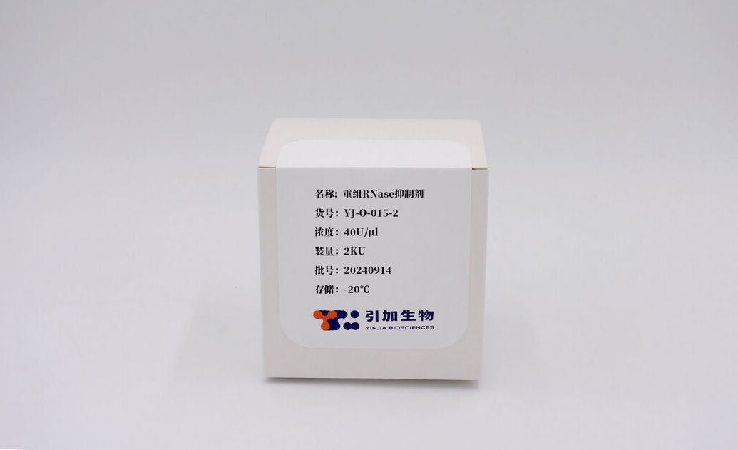 重組RNase抑制劑