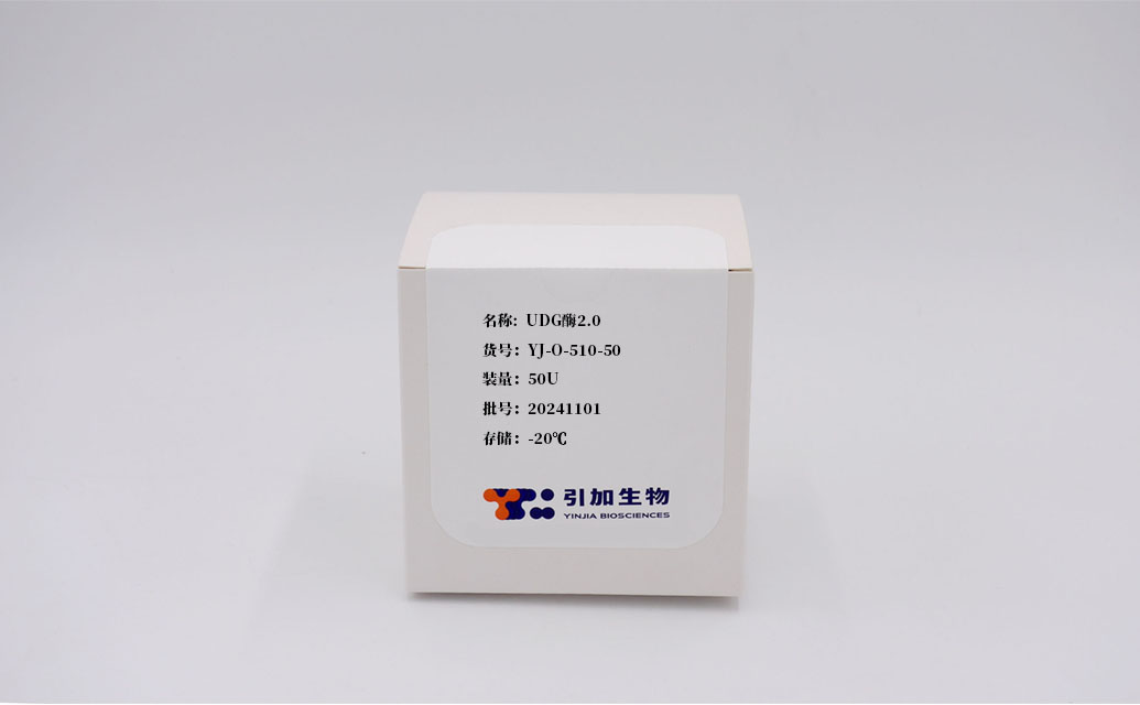 UDG酶2.0