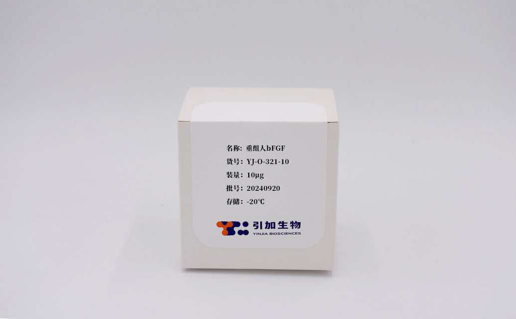 重組人bFGF