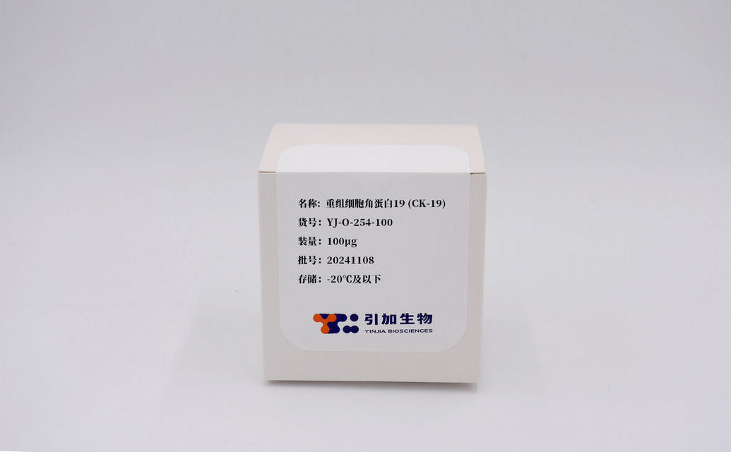 重組細胞角蛋白19 (CK-19)