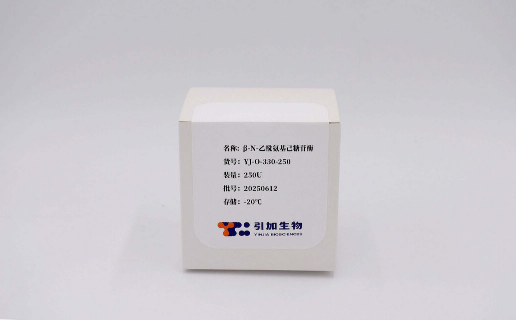 β-N-乙酰氨基己糖苷酶