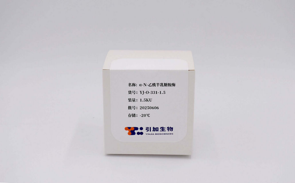 α-N-乙酰半乳糖胺酶