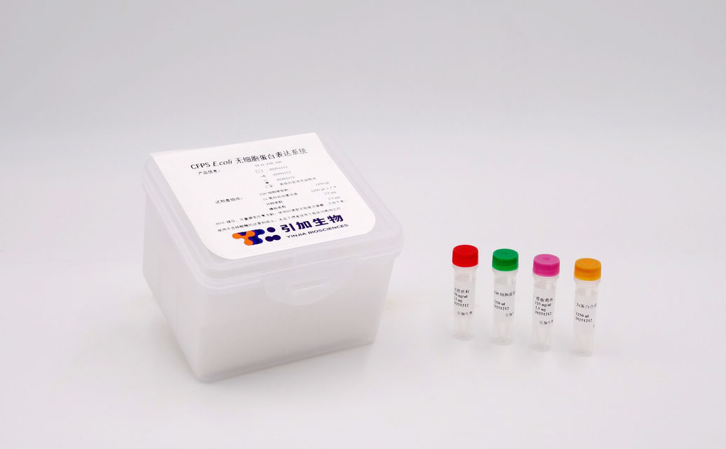 CFPS E.coli 無細胞蛋白表達系統